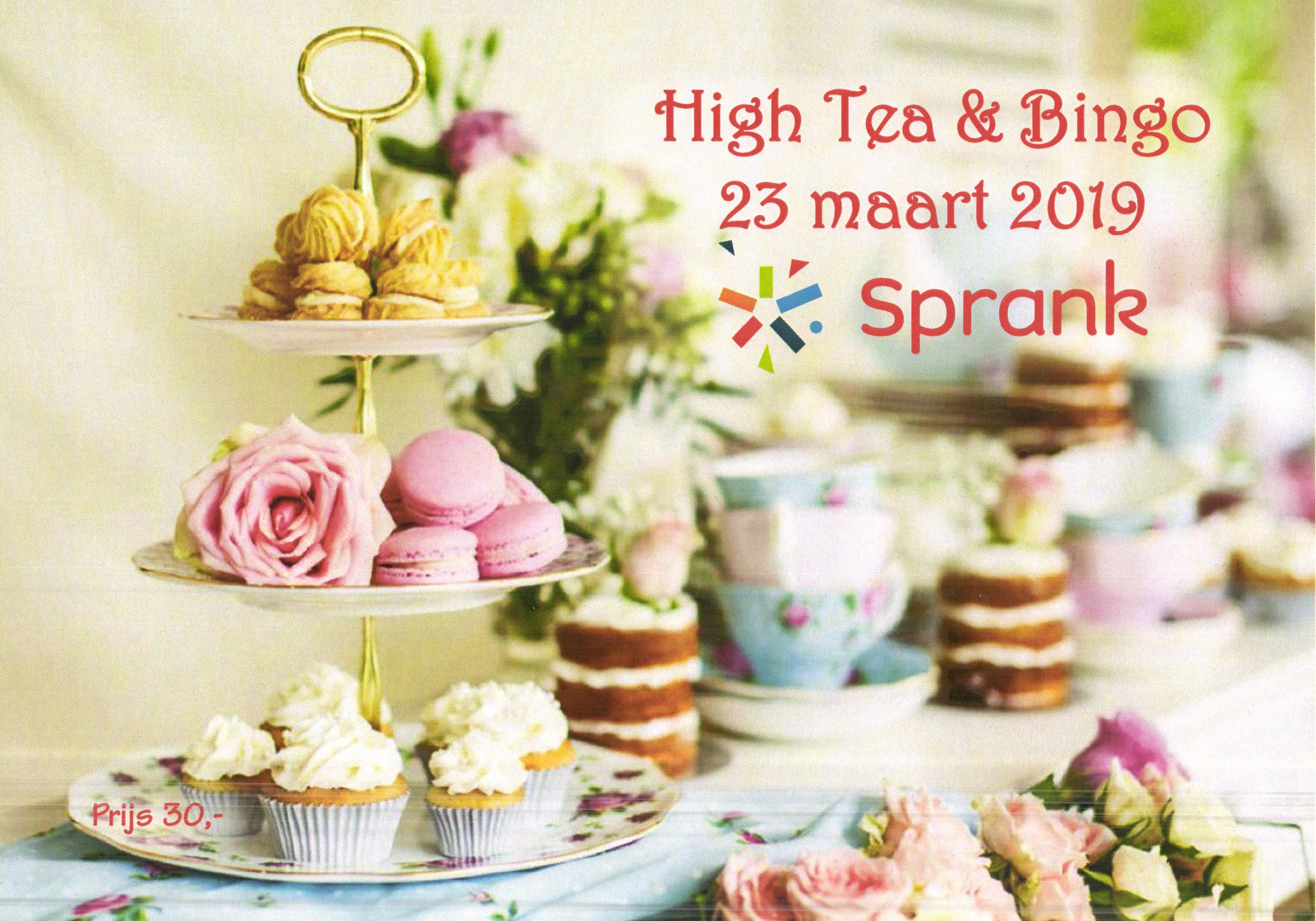 Wijzer debat Bibliografie SPRANK HIGH TEA - De Mandemaaker