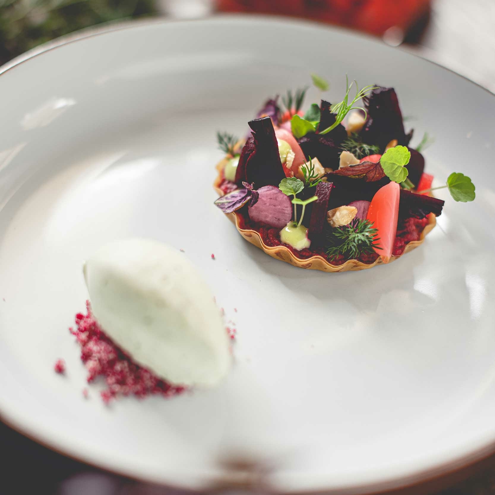 voorgerecht TARTELLETJE MET HUMMUS, RODE BIET EN DILLE